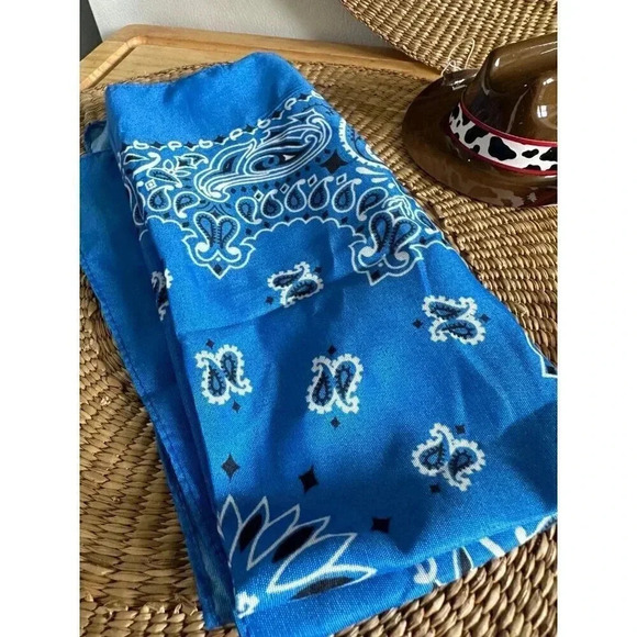 Cowboy/Cowgirl Sheriff Mini Cow hats, blue bandana, pin - Picture 4 of 7